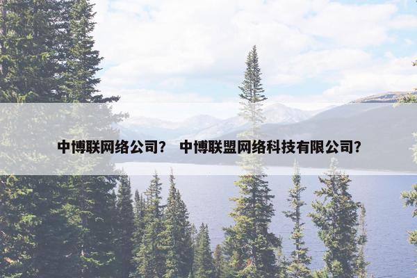 中博联网络公司？ 中博联盟网络科技有限公司？