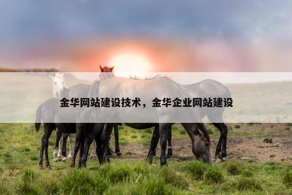 金华网站建设技术，金华企业网站建设