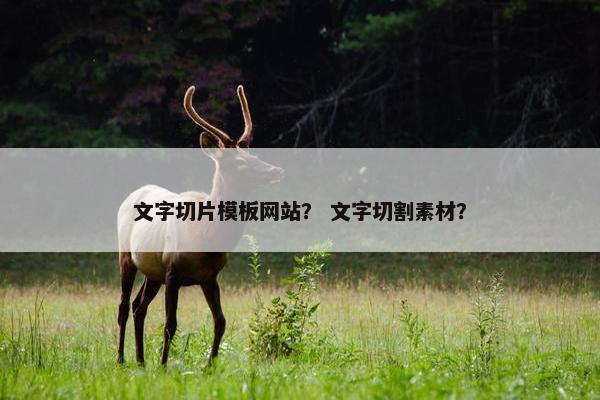 文字切片模板网站？ 文字切割素材？