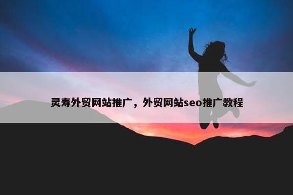 灵寿外贸网站推广，外贸网站seo推广教程