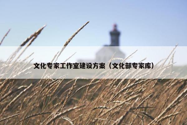 文化专家工作室建设方案（文化部专家库）