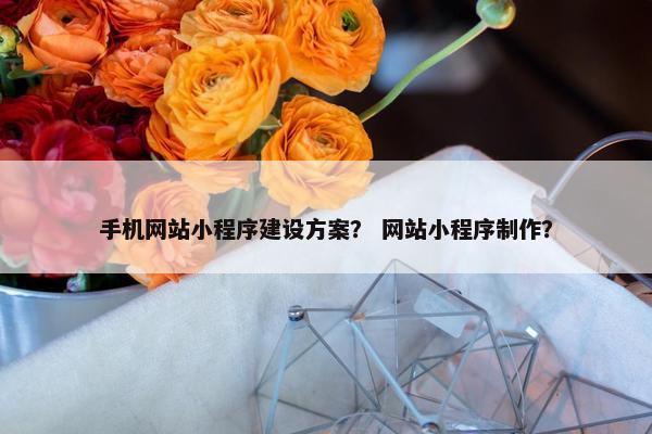 手机网站小程序建设方案？ 网站小程序制作？