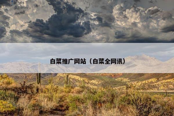 白菜推广网站（白菜全网讯）