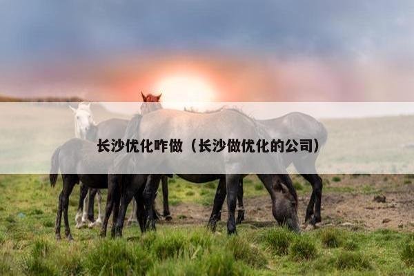 长沙优化咋做（长沙做优化的公司）