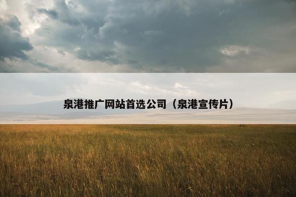 泉港推广网站首选公司（泉港宣传片）