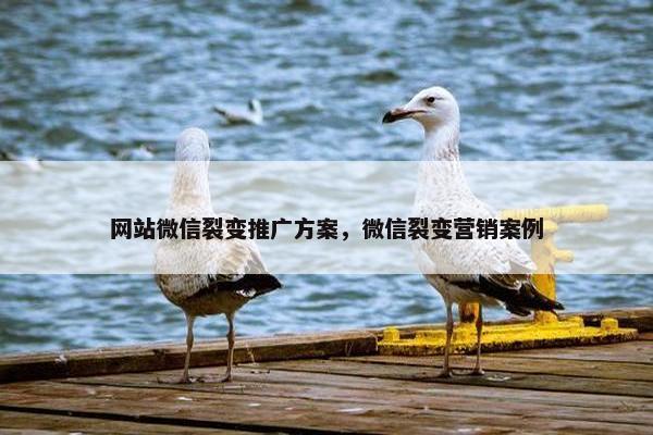网站微信裂变推广方案，微信裂变营销案例