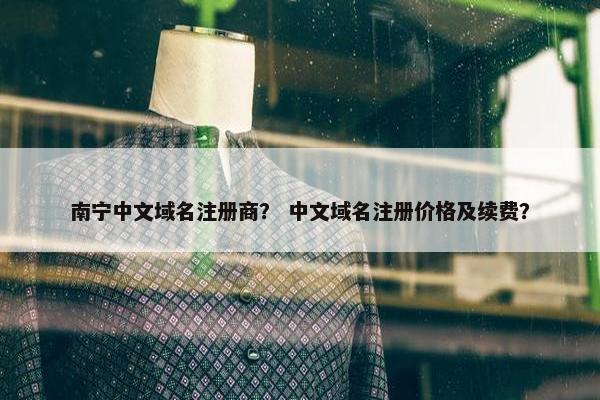 南宁中文域名注册商？ 中文域名注册价格及续费？