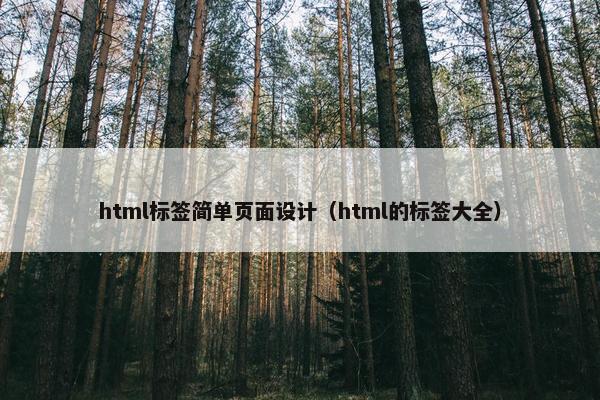 html标签简单页面设计（html的标签大全）