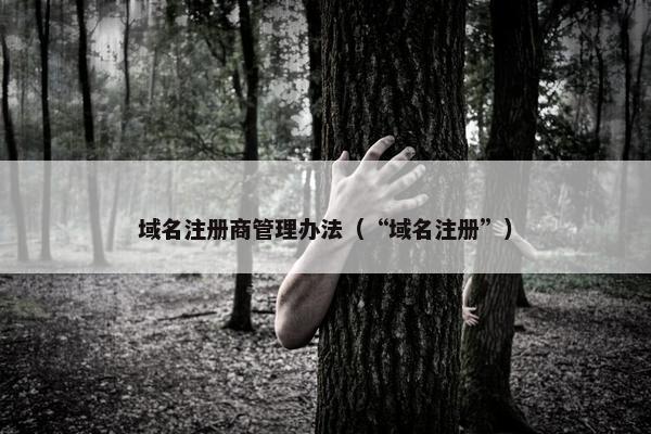 域名注册商管理办法（“域名注册”）