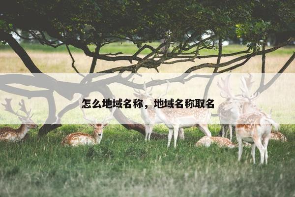 怎么地域名称，地域名称取名