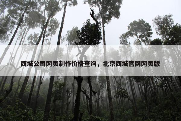 西城公司网页制作价格查询，北京西城官网网页版