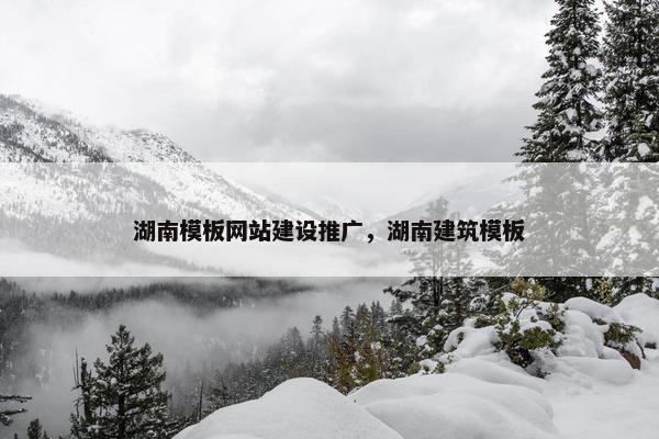湖南模板网站建设推广，湖南建筑模板