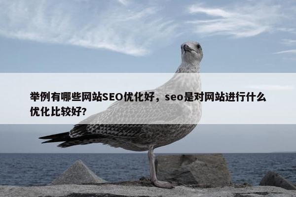 举例有哪些网站SEO优化好，seo是对网站进行什么优化比较好?