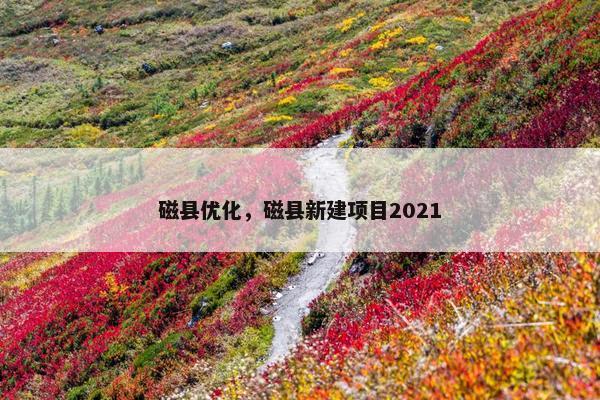 磁县优化，磁县新建项目2021