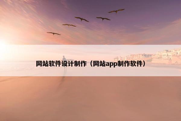 网站软件设计制作（网站app制作软件）