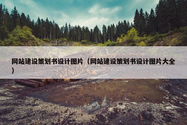 网站建设策划书设计图片（网站建设策划书设计图片大全）