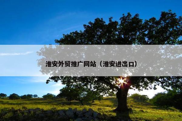 淮安外贸推广网站（淮安进出口）