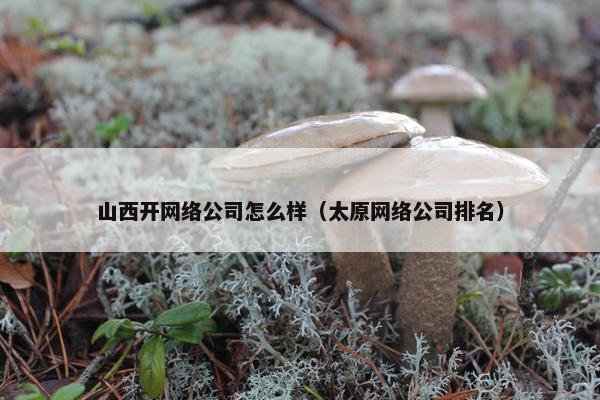 山西开网络公司怎么样（太原网络公司排名）