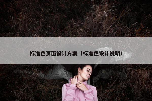 标准色页面设计方案（标准色设计说明）