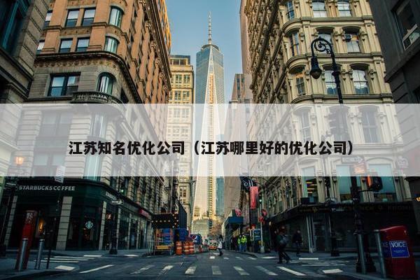 江苏知名优化公司（江苏哪里好的优化公司）