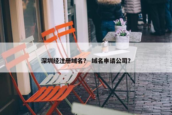 深圳经注册域名？ 域名申请公司？