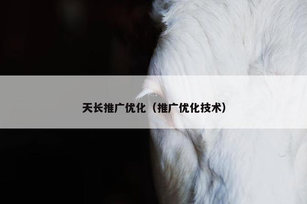 天长推广优化（推广优化技术）