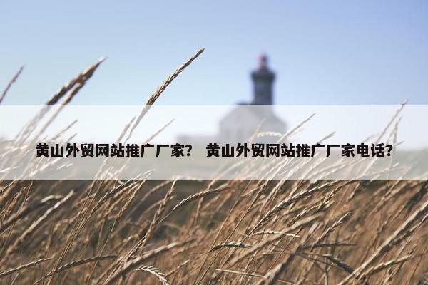 黄山外贸网站推广厂家？ 黄山外贸网站推广厂家电话？