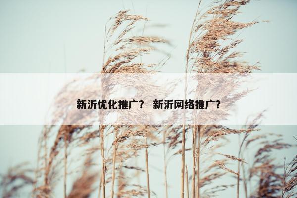 新沂优化推广？ 新沂网络推广？