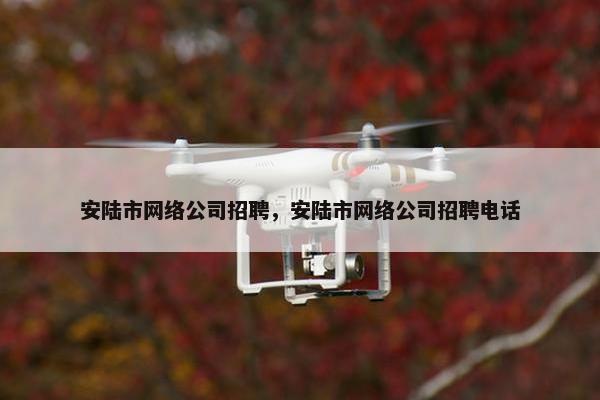 安陆市网络公司招聘，安陆市网络公司招聘电话