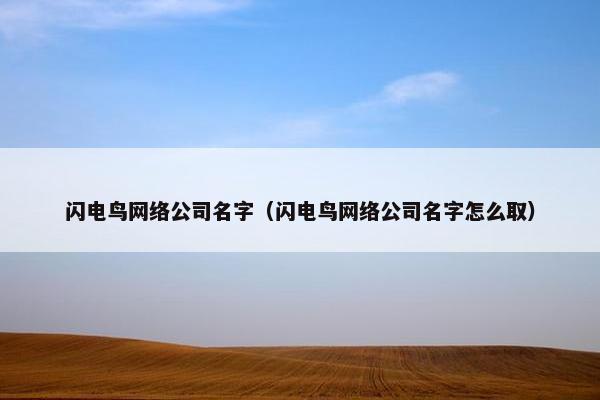 闪电鸟网络公司名字（闪电鸟网络公司名字怎么取）