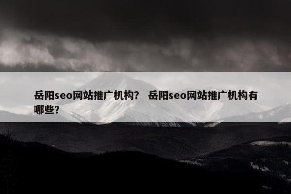 岳阳seo网站推广机构？ 岳阳seo网站推广机构有哪些？