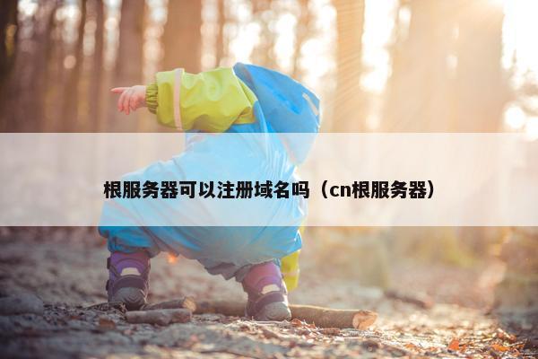 根服务器可以注册域名吗（cn根服务器）