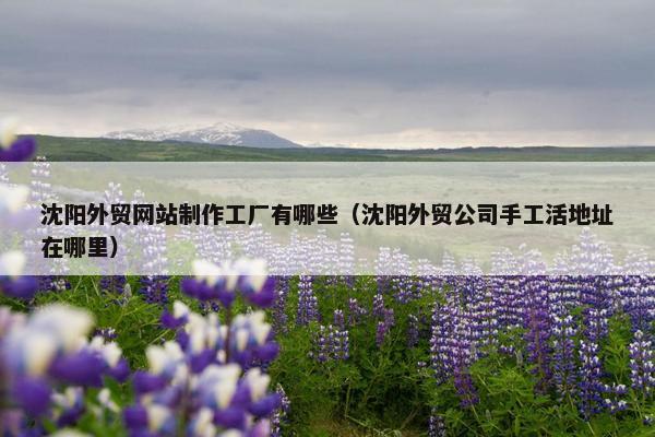 沈阳外贸网站制作工厂有哪些（沈阳外贸公司手工活地址在哪里）