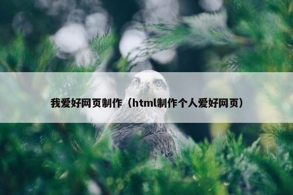 我爱好网页制作（html制作个人爱好网页）