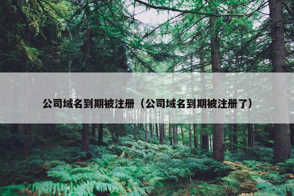 公司域名到期被注册（公司域名到期被注册了）