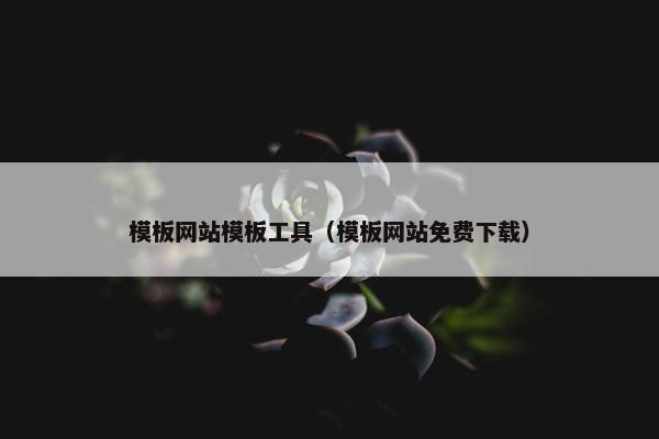 模板网站模板工具（模板网站免费下载）