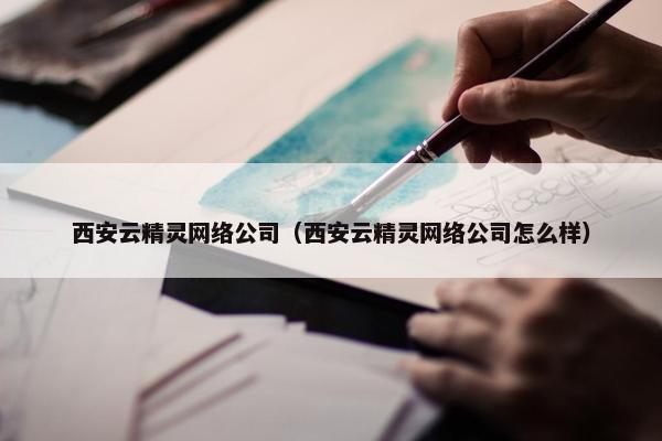 西安云精灵网络公司（西安云精灵网络公司怎么样）