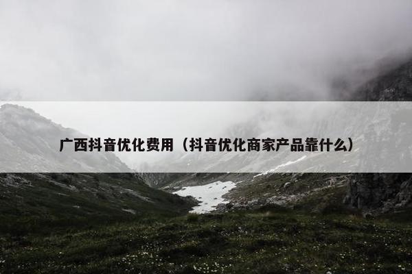 广西抖音优化费用（抖音优化商家产品靠什么）