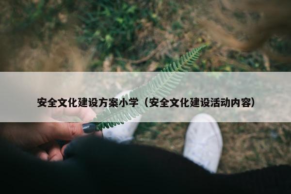 安全文化建设方案小学（安全文化建设活动内容）