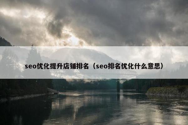 seo优化提升店铺排名（seo排名优化什么意思）