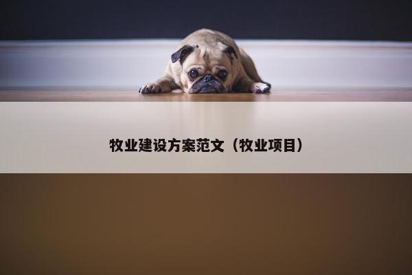 牧业建设方案范文（牧业项目）