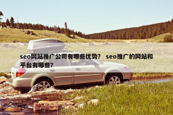 seo网站推广公司有哪些优势？ seo推广的网站和平台有哪些？
