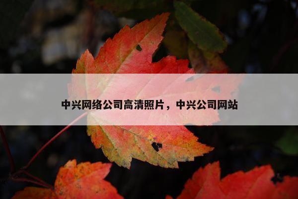 中兴网络公司高清照片，中兴公司网站