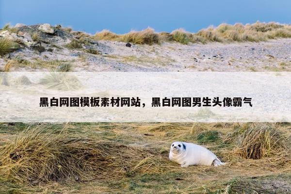 黑白网图模板素材网站，黑白网图男生头像霸气