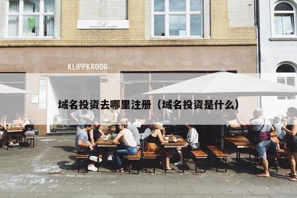 域名投资去哪里注册（域名投资是什么）