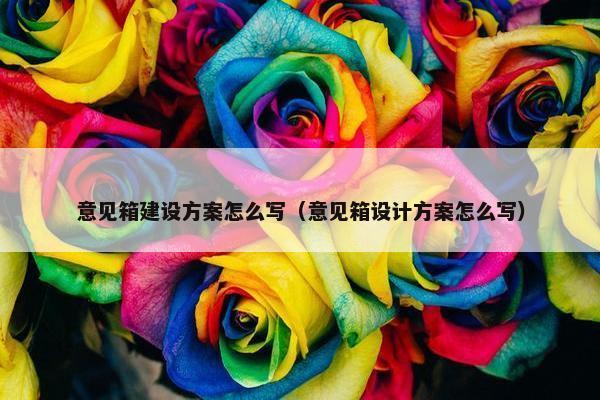 意见箱建设方案怎么写（意见箱设计方案怎么写）