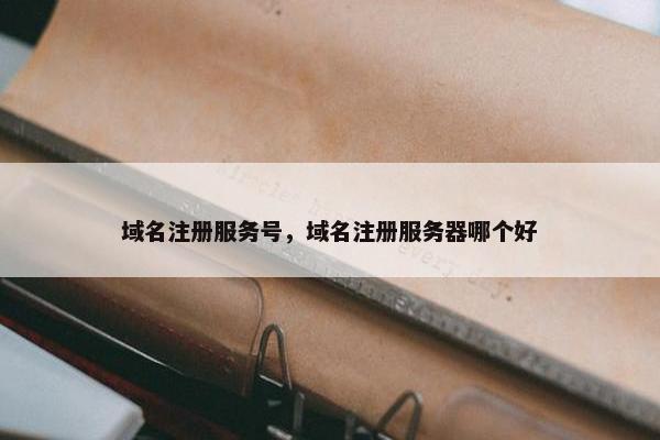 域名注册服务号，域名注册服务器哪个好