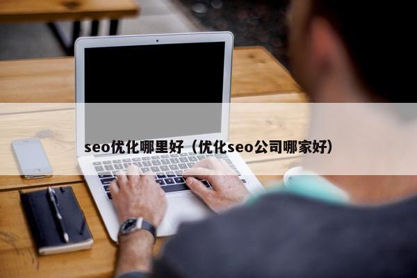 seo优化哪里好（优化seo公司哪家好）