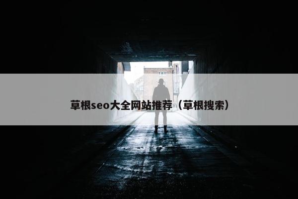 草根seo大全网站推荐（草根搜索）