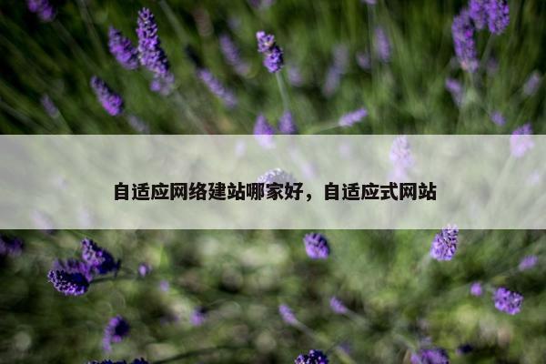 自适应网络建站哪家好，自适应式网站